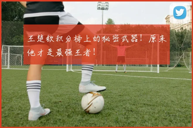 王楚钦积分榜上的秘密武器!原来他才是最强王者!