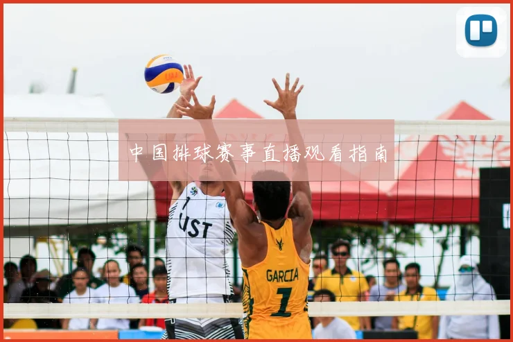 中国排球赛事直播观看指南