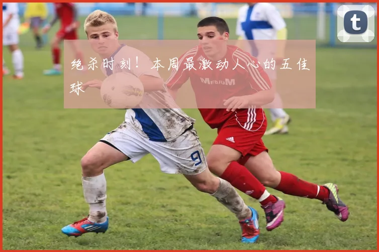 绝杀时刻!本周最激动人心的五佳球