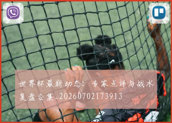 世界杯最新动态：专家点评与战术复盘合集_20260702173913